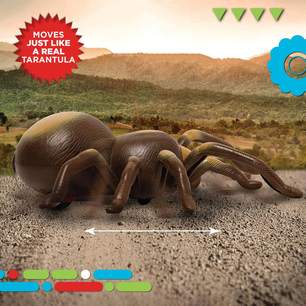 Discovery Toy RC Tarantula