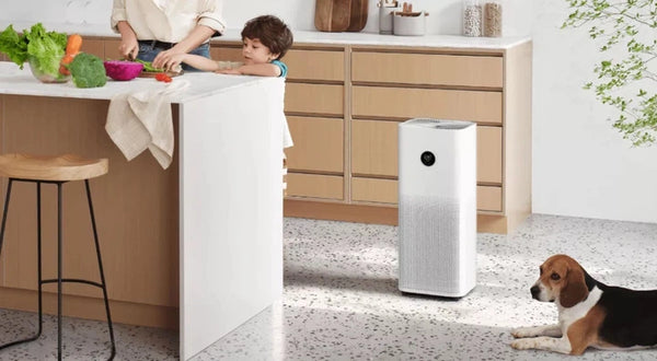 Xiaomi - Smart Air Purifier 4 Pro
