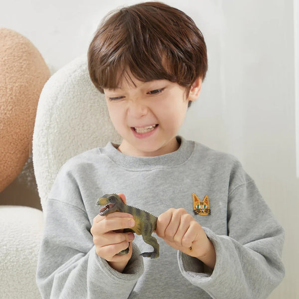 Mideer Dinosaur Toys Set - 24pcs