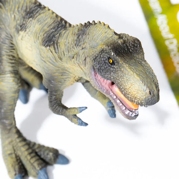 Mideer Dinosaur Toys Set - 24pcs