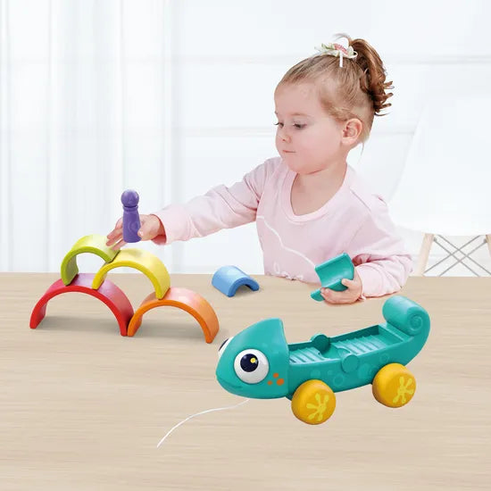 Hola - Rainbow Chameleon