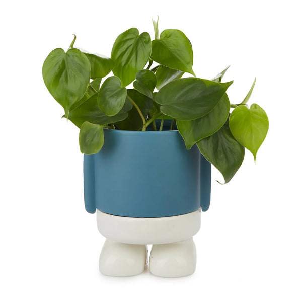 Balvi - Mr. Standy Plant Pot, Blue, Ceramic