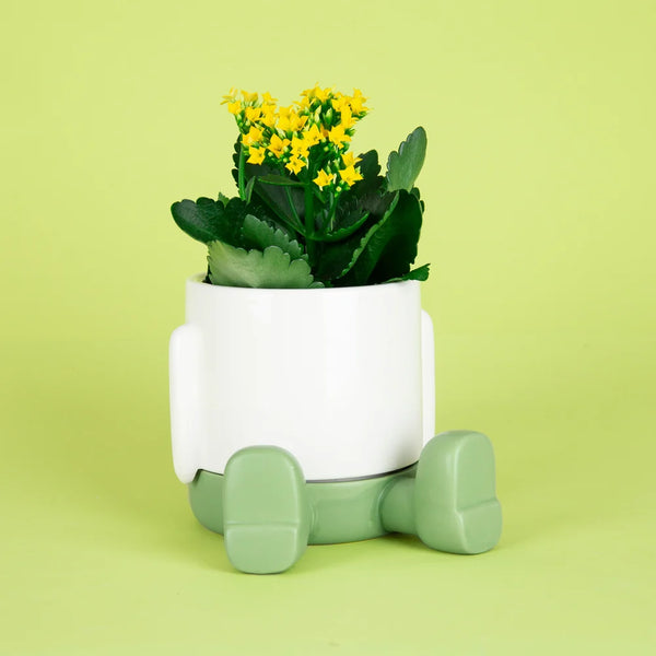 Balvi - Mr. Sitty Plant Pot, Green, Ceramic
