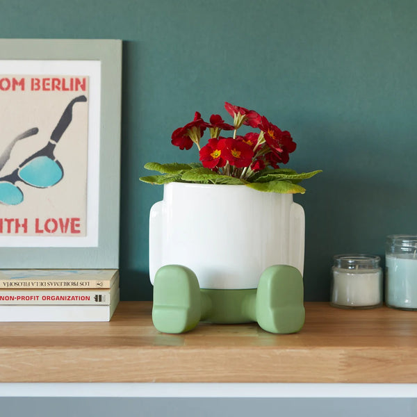 Balvi - Mr. Sitty Plant Pot, Green, Ceramic