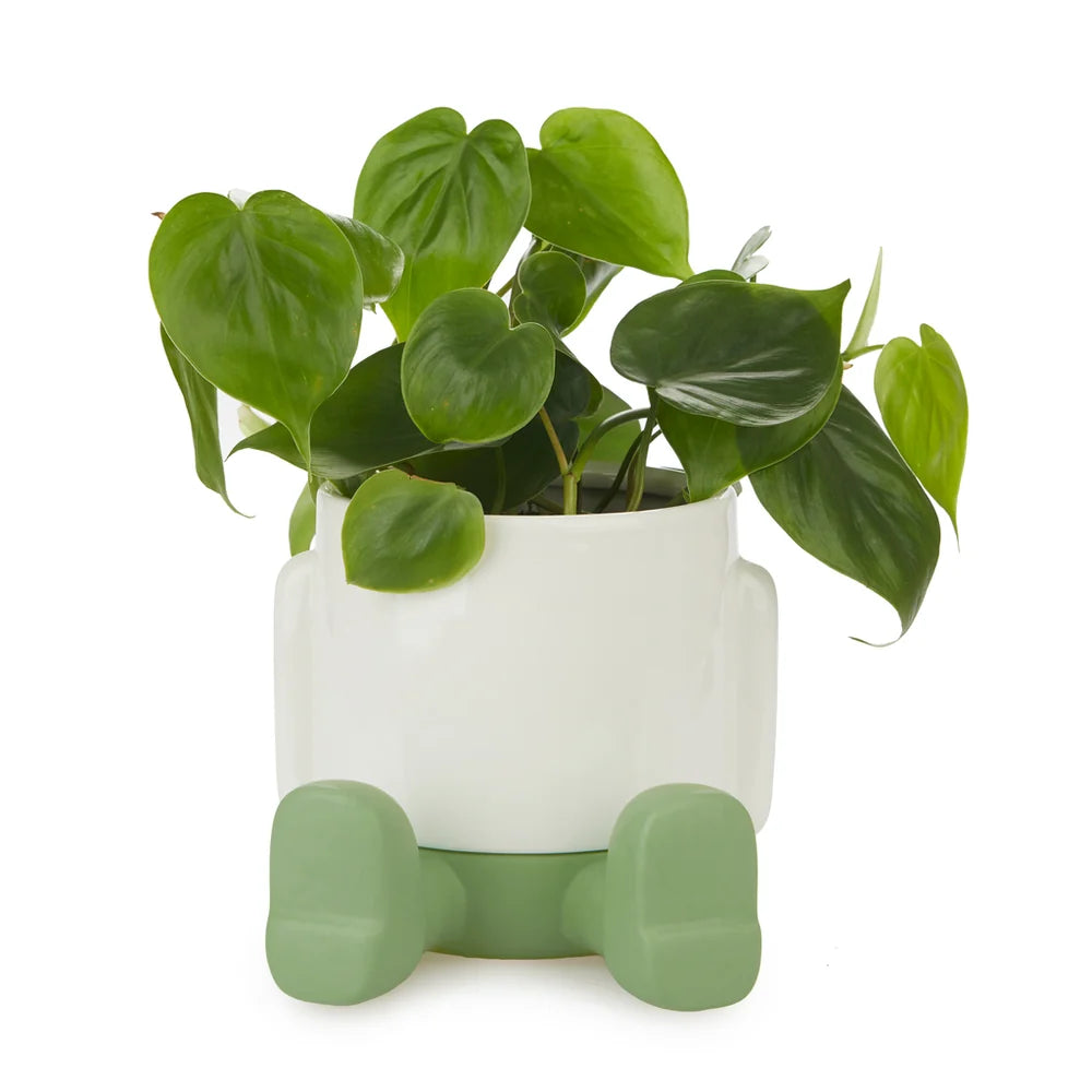 Balvi - Mr. Sitty Plant Pot, Green, Ceramic