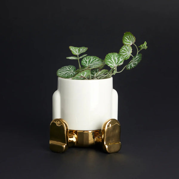 Balvi - Mr. Sitty Mini Flower Gold Edition Pot, Ceramic
