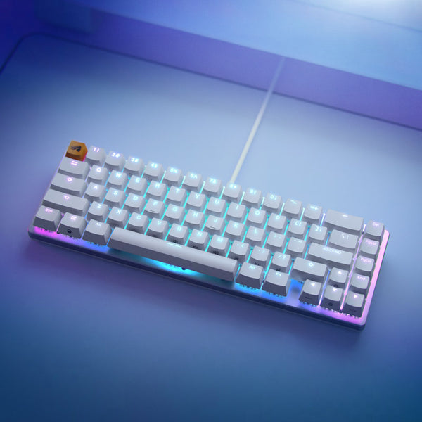 Glorious GMMK V2 65% Keyboard (Barebones) - White