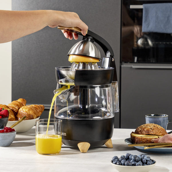 Princess Citrus Juicer Pure Stainless Steel 300 Watt - Black