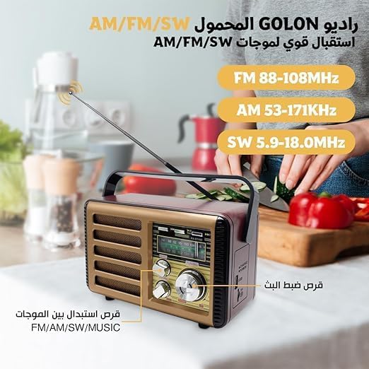 Anbernic - Radio - RX-BT068 Portable Bluetooth