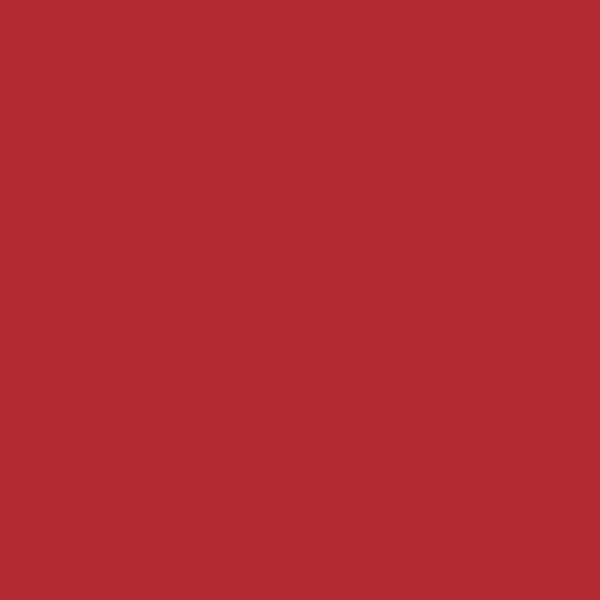 Cricut Joy Smart Iron-On 14x60cm (Red)