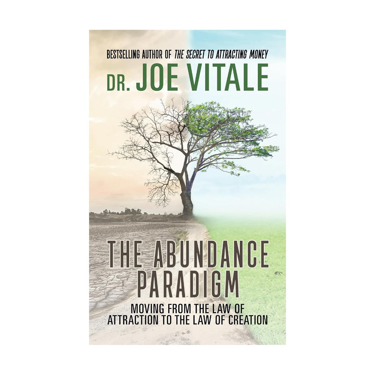 Abundance Paradigm