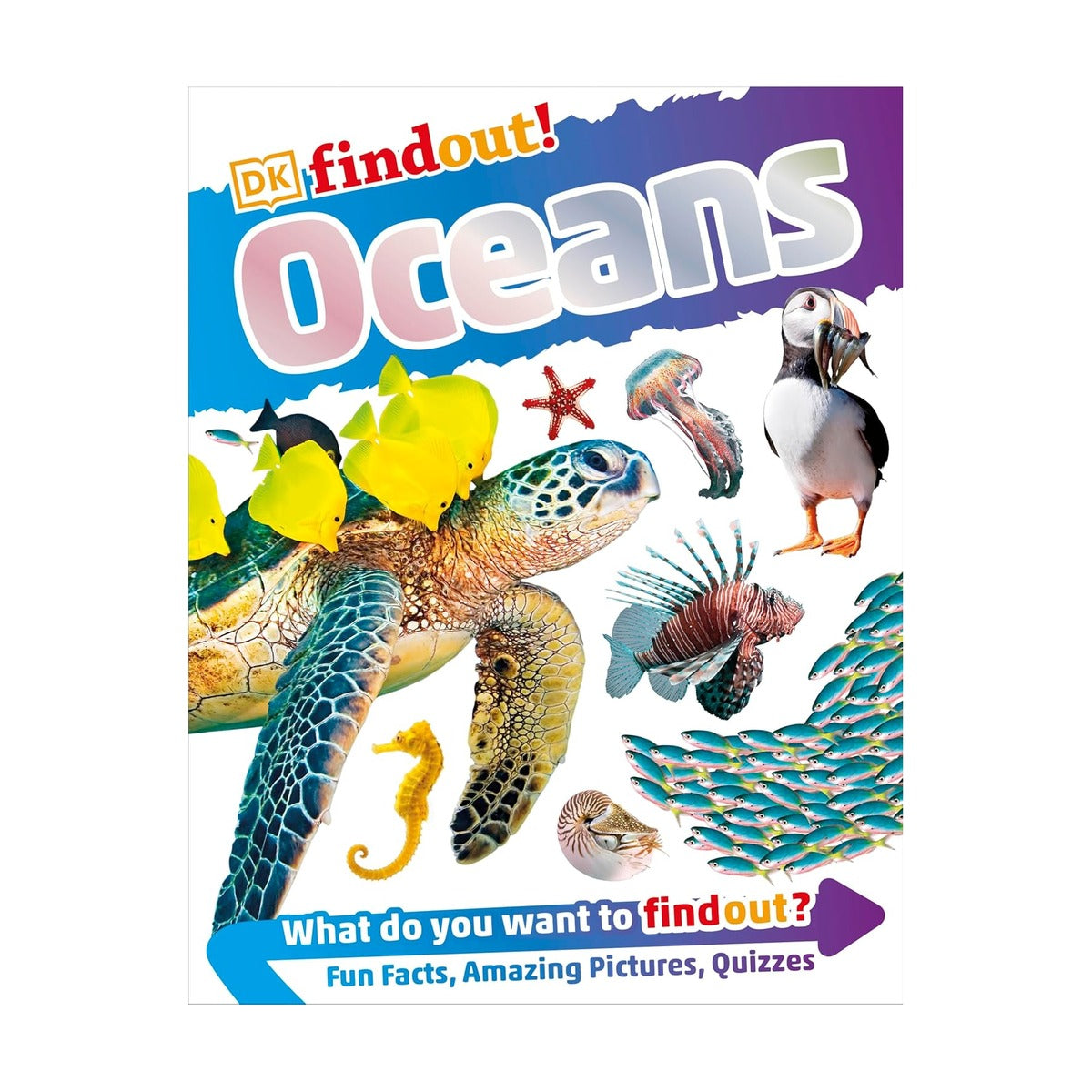 Dkfindout المحيطات