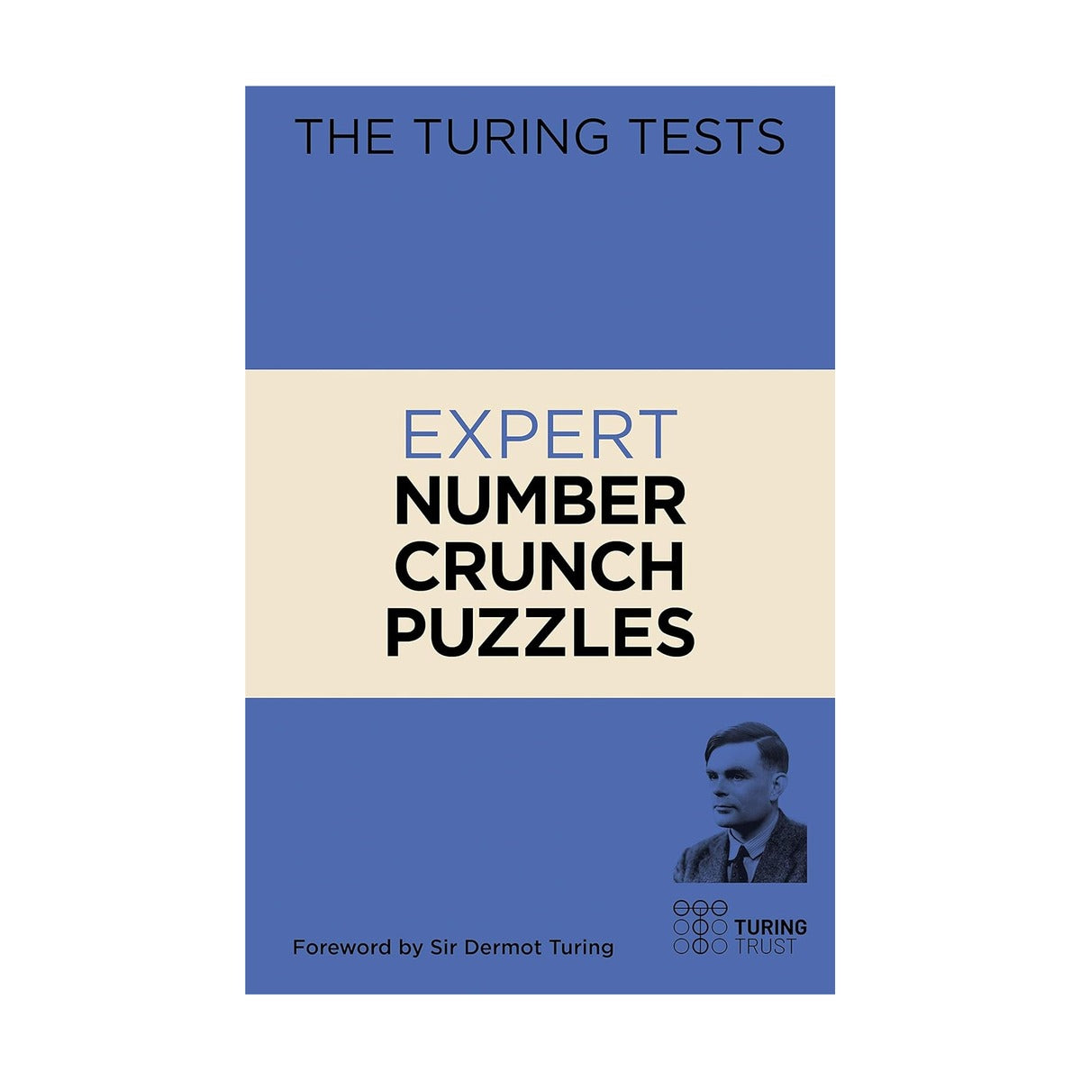 Expert Number Crunch Puzzles Turing Tests