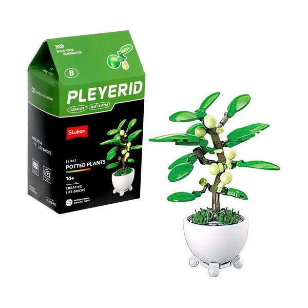 Sluban - Pleyerid-Potted Plants(6 Boxes In 1 Display Box)-2