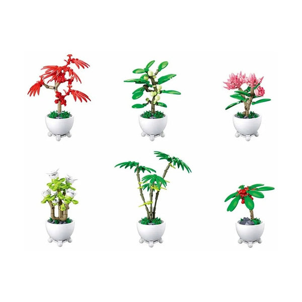Sluban - Pleyerid-Potted Plants(6 Boxes In 1 Display Box)-5
