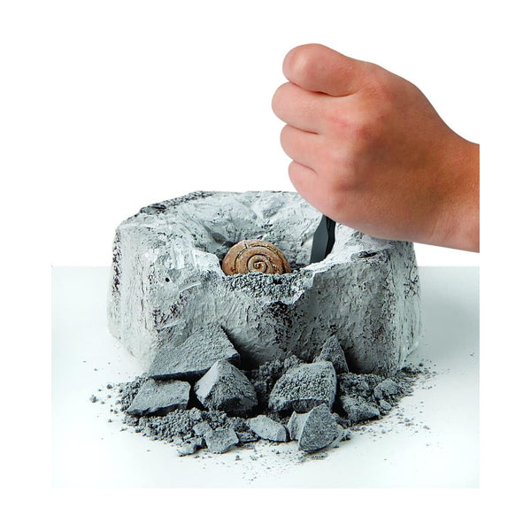 Discovery Toy Excavation Kit Mini Fossil 2Pc