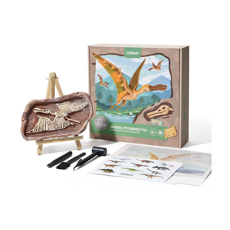 Mideer - Steam Game Revive Pterosaur