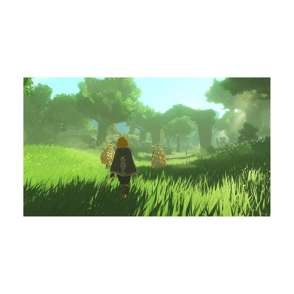 Hyrule Warrios Age Of Imprisonment - NS2