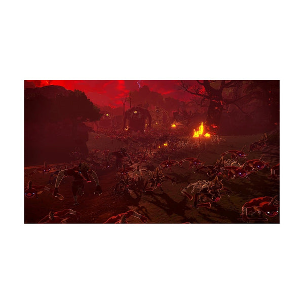 Hyrule Warrios Age Of Imprisonment - NS2