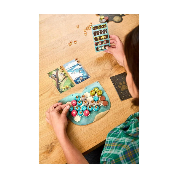 Harmonies Board Game