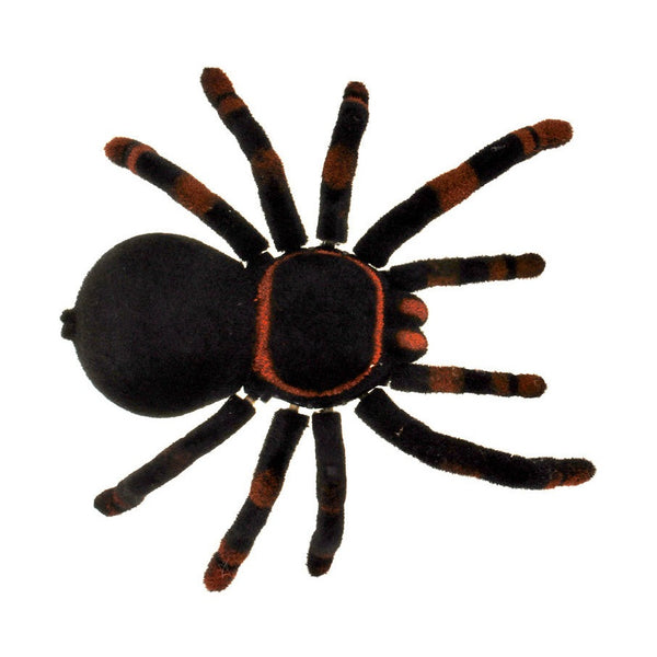The Source RC Tarantula