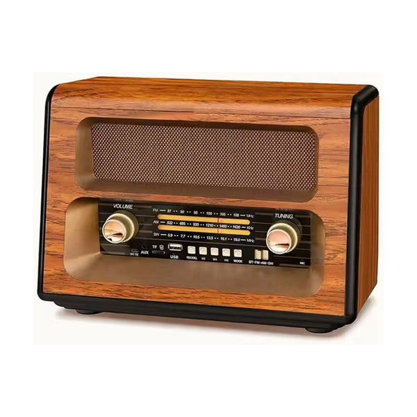 Anbernic - Golon Radio RX-BT88