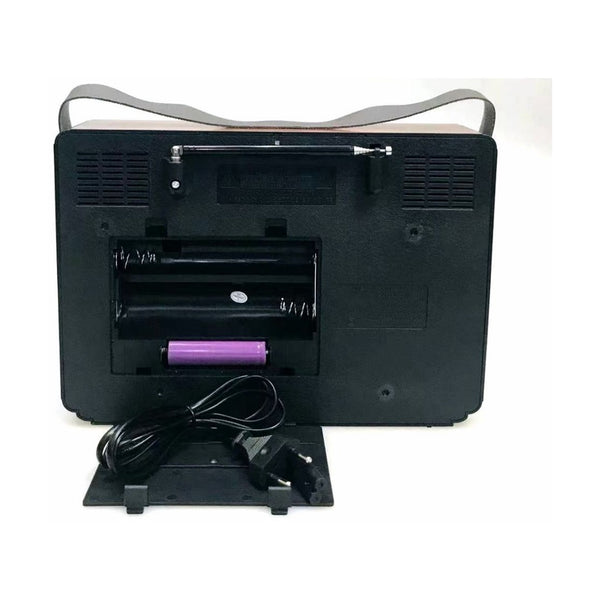 Anbernic - Golon Radio RX-BT88