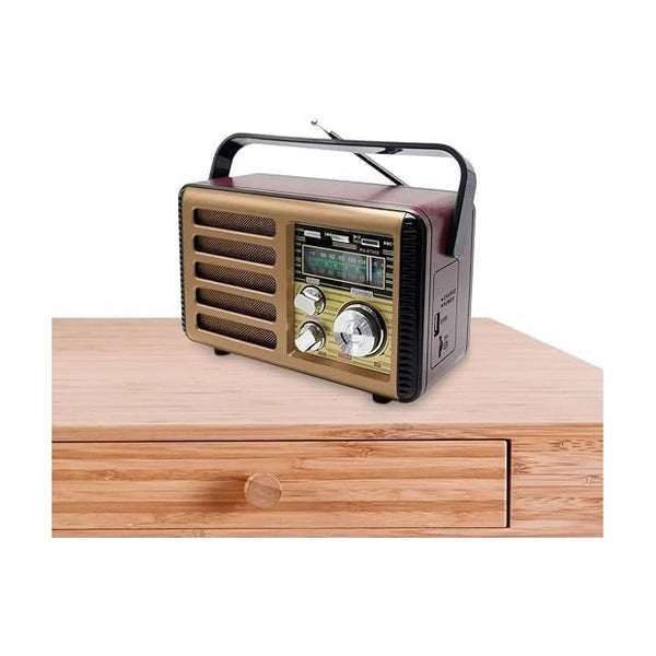 Anbernic - Radio - RX-BT068 Portable Bluetooth