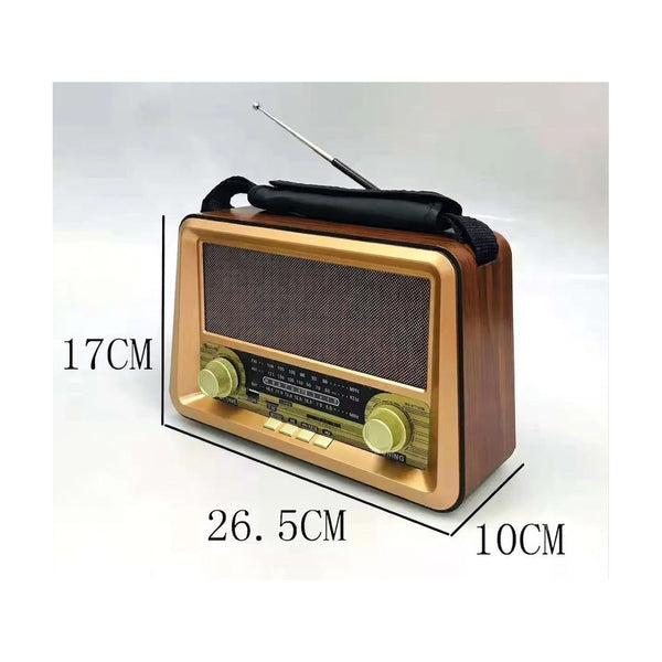 Anbernic - Radio Golon RX-BT1006 Portable Wireless Radio
