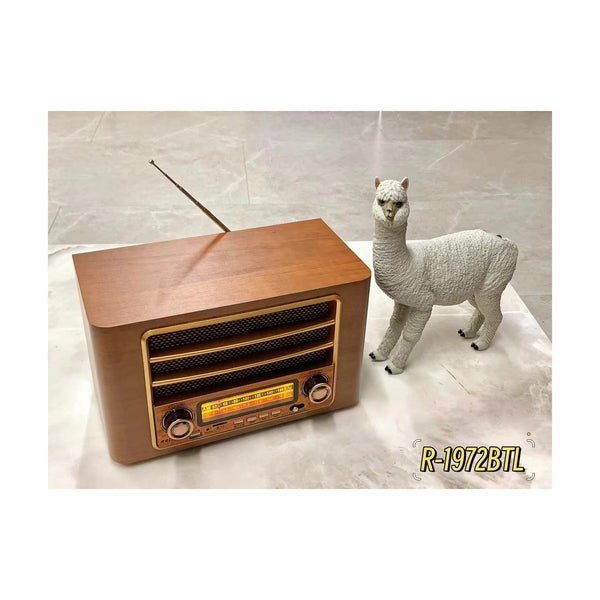 Anbernic - Radio Raiseng vintage R- 1972BTL