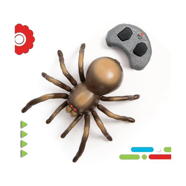 Discovery Toy RC Tarantula