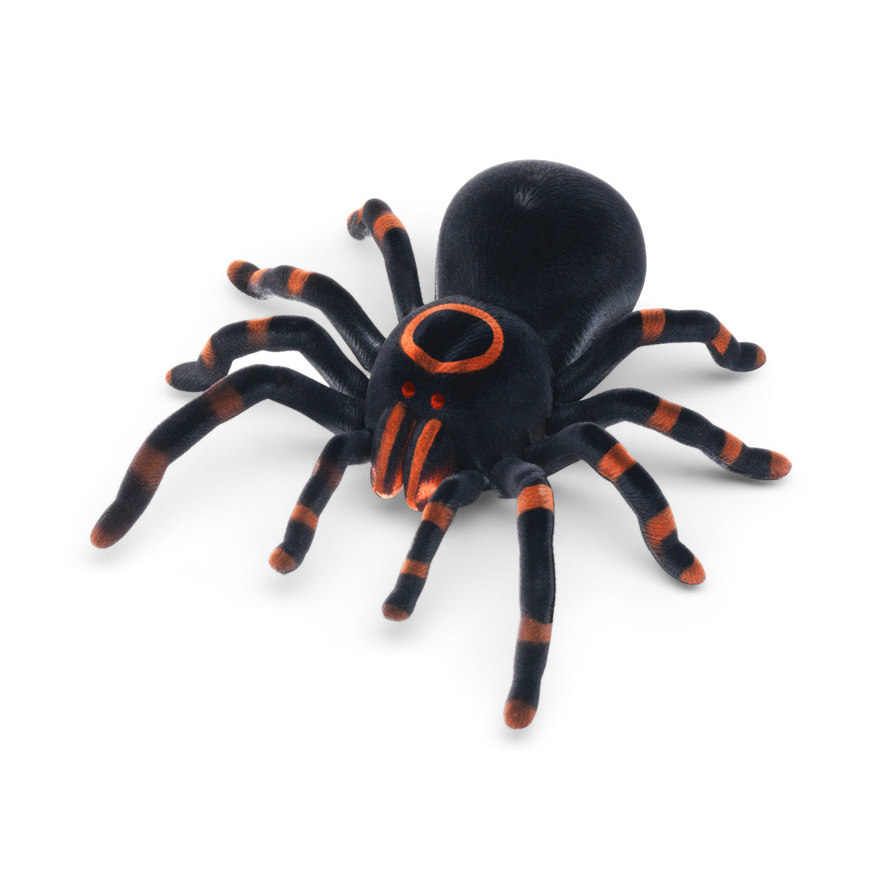 The Source RC Tarantula