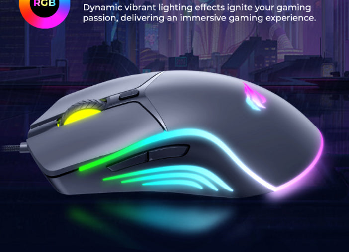 HAVIT Gamenote MS1029 RGB Backlit Gaming Mouse