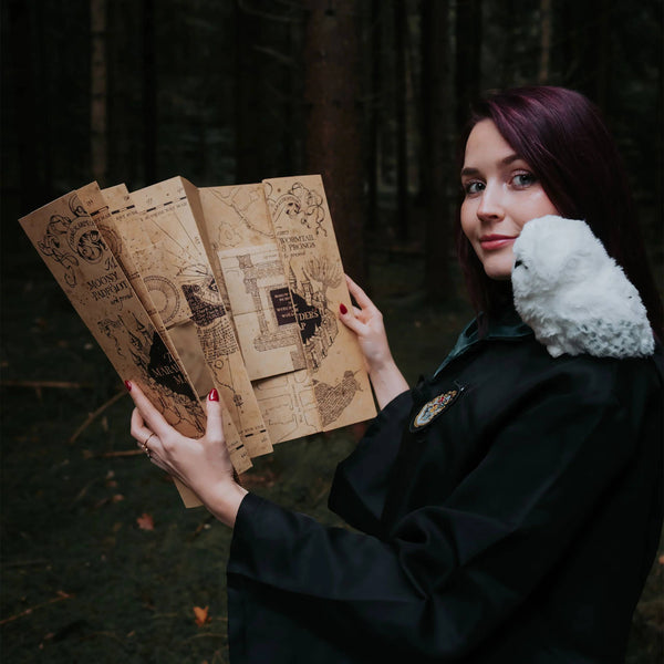 Harry Potter - Harry Potter Map