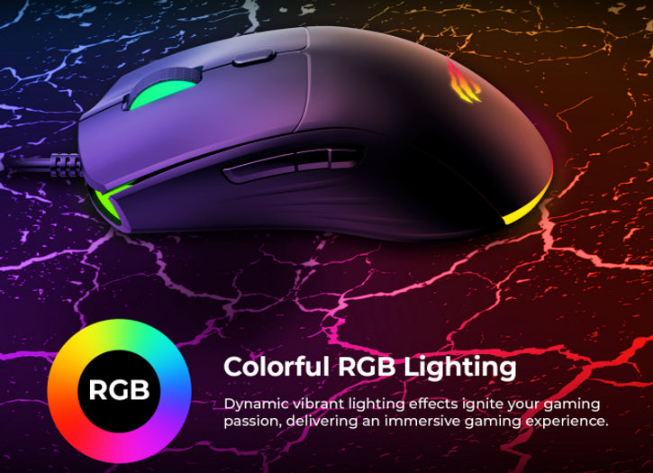 HAVIT Gamenote MS1030 RGB Backlit Gaming Mouse