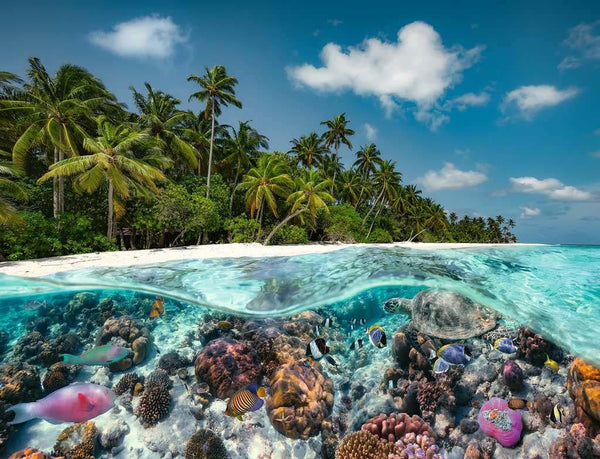 Ravensburger - A Dive in the Maldives Puzzle, 2000 Pcs