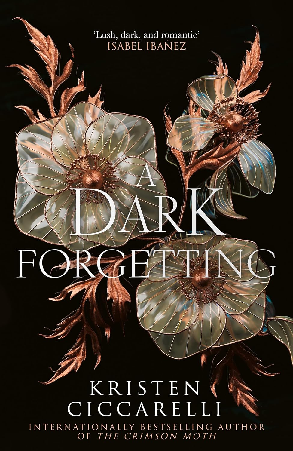 A Dark Forgetting - English Language Book for Adult Readers