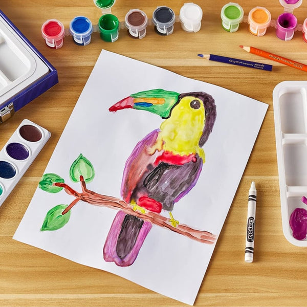 Crayola - Paint & Create Easel Case
