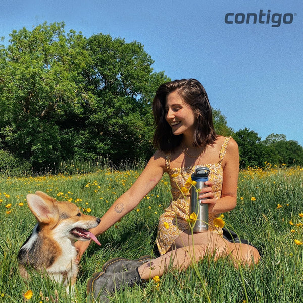 Contigo Autospout Ashland Chill - Vacuum Insulated Stainless Steel Water Bottle 590 ML, Monaco