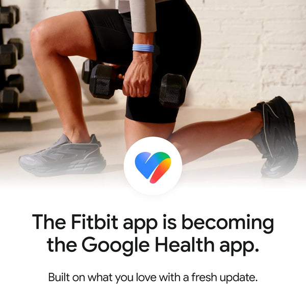 Google Fitbit Air