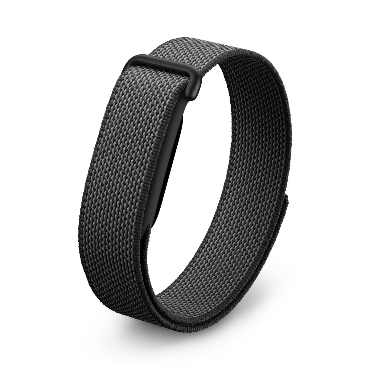 Google Fitbit Air