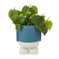 Balvi - Mr. Standy Plant Pot, Blue, Ceramic