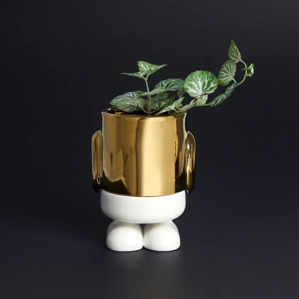 Balvi - Mr. Standy Mini Plant Flower Pot, Gold