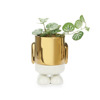 Balvi - Mr. Standy Mini Plant Flower Pot, Gold