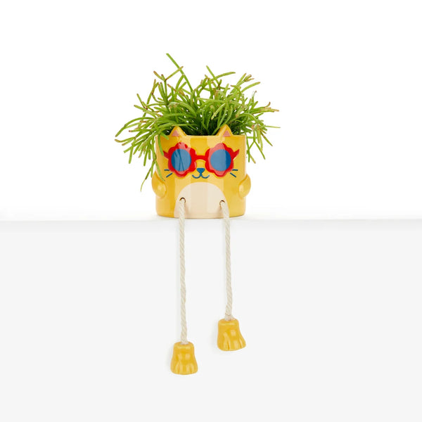 Balvi - Cool Cat Mini Flower Pot, Yellow