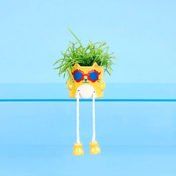 Balvi - Cool Cat Mini Flower Pot, Yellow