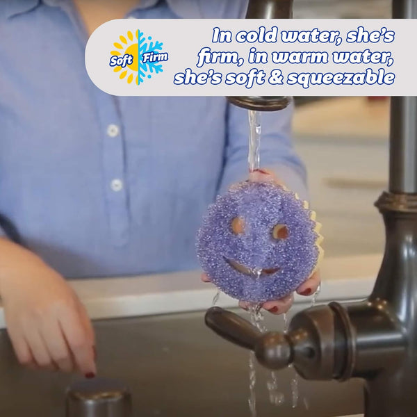 Scrub Daddy Scrub Mommy – Scratch-Free Dish Sponge