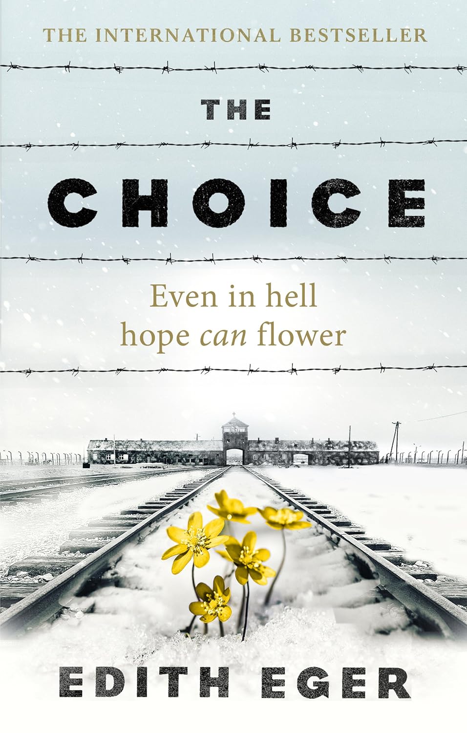 The Choice: A True Story Of Hope Edith Eger