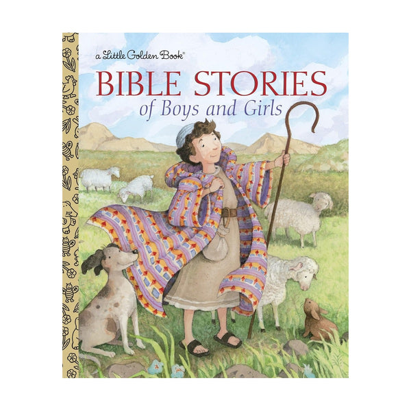 Bible Stories Of Boys And Girls Christin Ditchfield