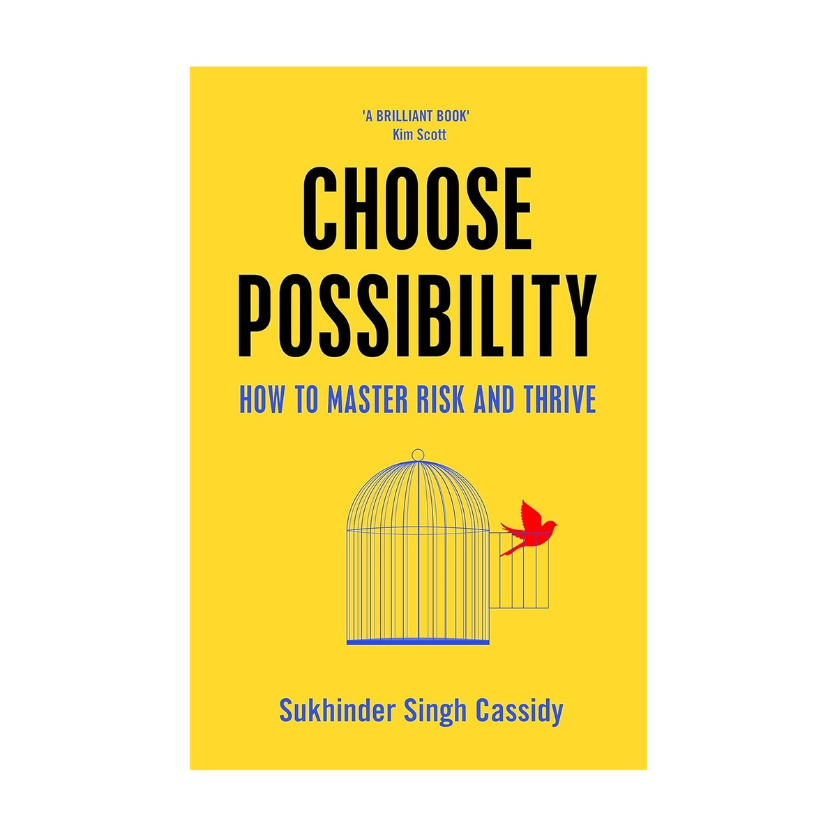 Choose Possibility